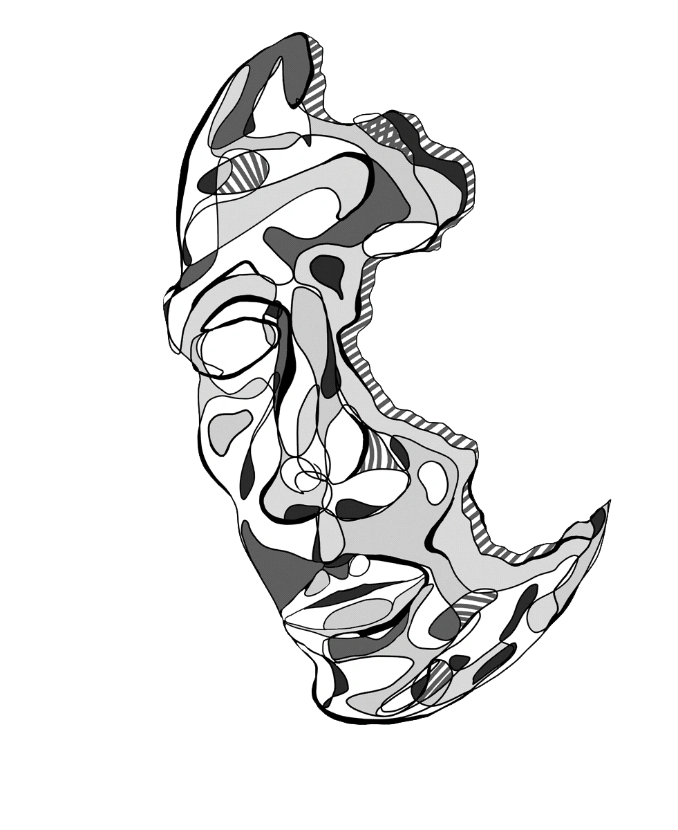 head illustration